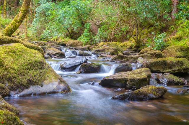 stream of water